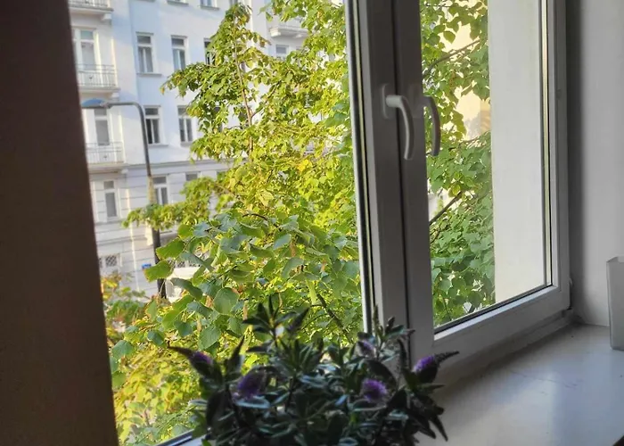 Noakowskiego - Serce Warszawy, Hala Koszyki